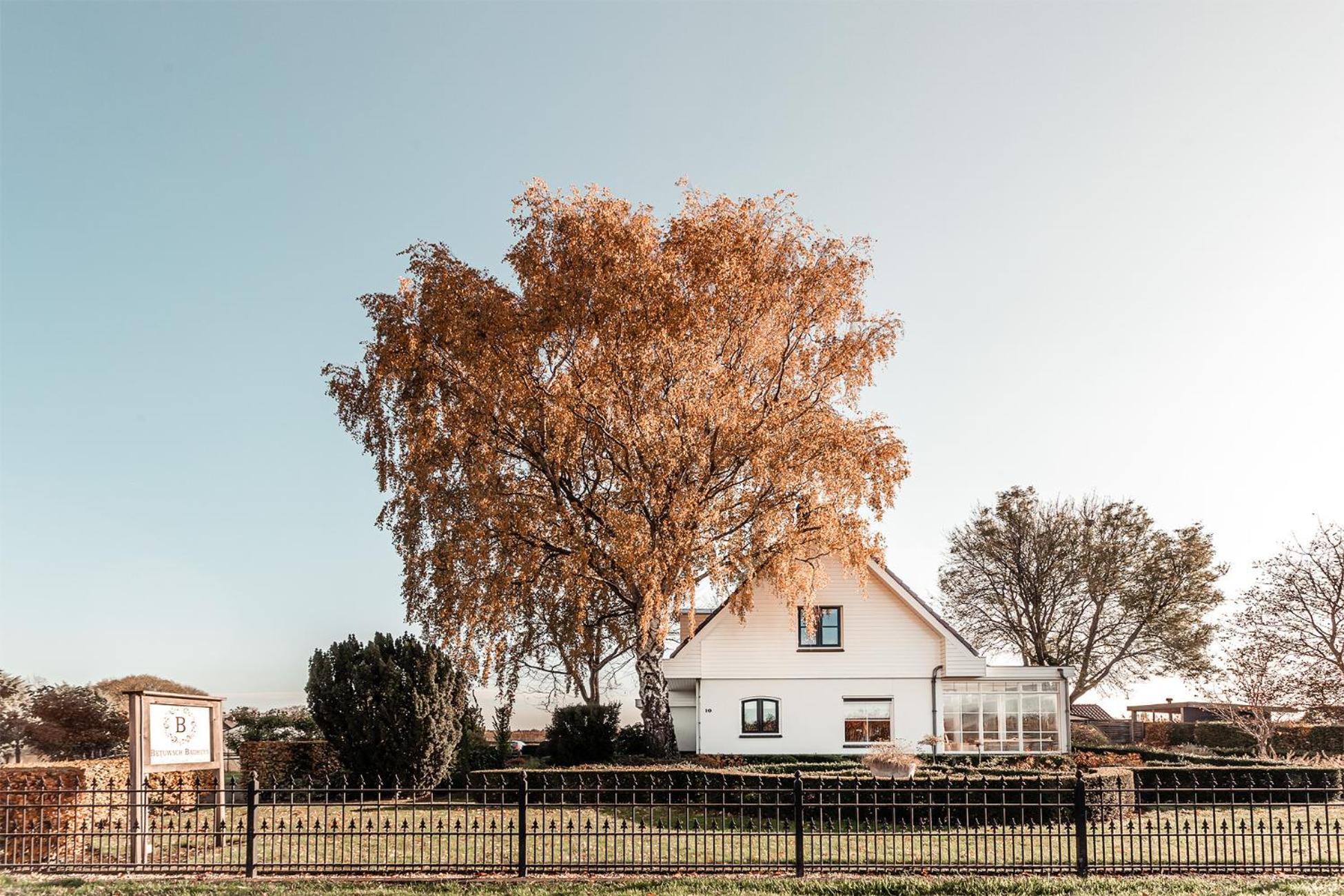 Lienden Betuwsch Badhuys B&B 외부 사진